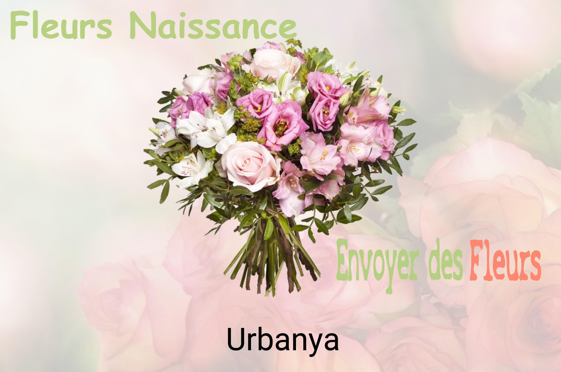 Bouquet de fleurs de naissance livré à Urbanya